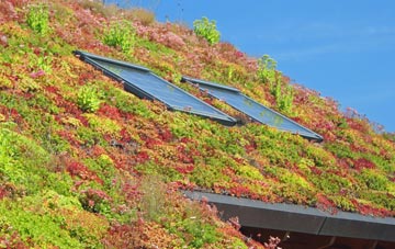 Byton Hand living roof systems