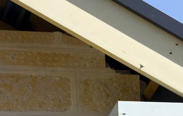 soffit repair Byton Hand