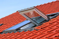 Byton Hand roof window
